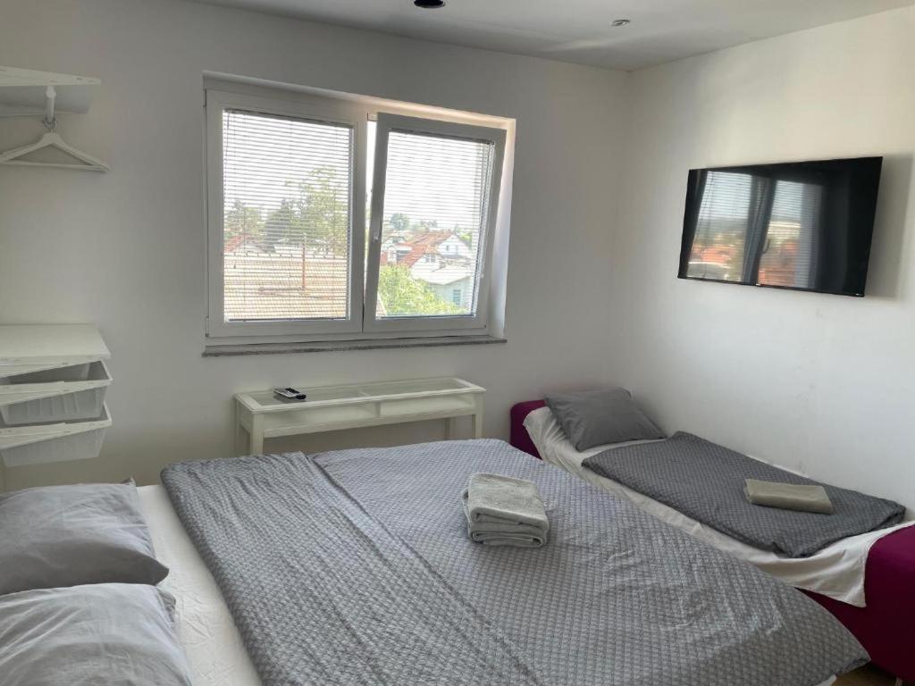 R41 - Tivoli Groundfloor Apartment Ljubljana Dış mekan fotoğraf