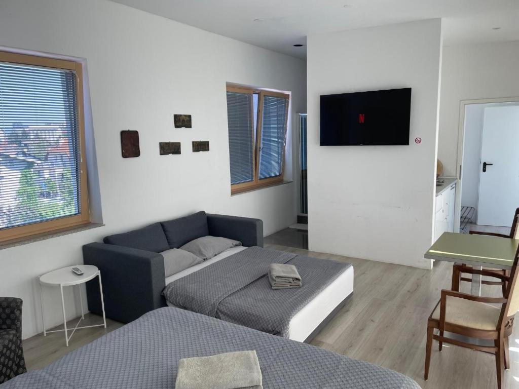 R41 - Tivoli Groundfloor Apartment Ljubljana Dış mekan fotoğraf