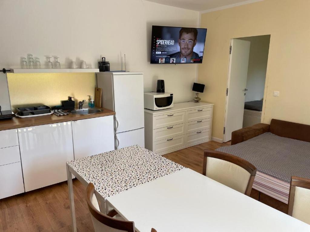 R41 - Tivoli Groundfloor Apartment Ljubljana Dış mekan fotoğraf