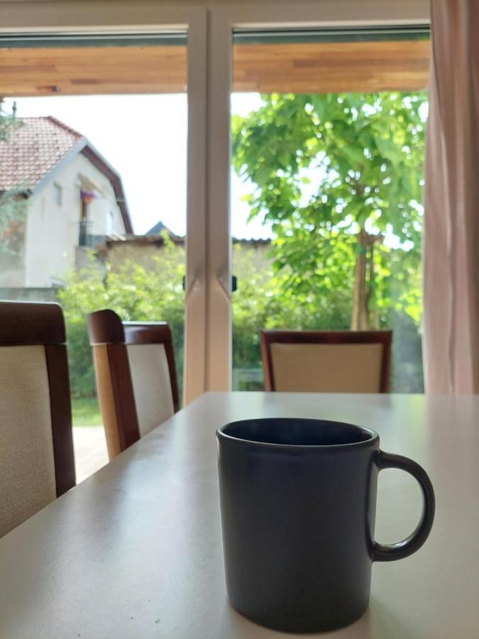 R41 - Tivoli Groundfloor Apartment Ljubljana Dış mekan fotoğraf